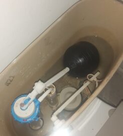 Técnico en Gasfitería